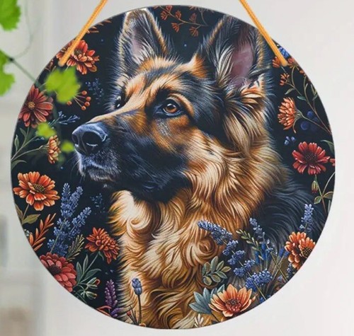 Alsatian large german - alsatian, shepherd