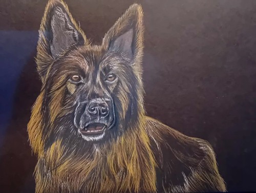 Original german shepherd - original,