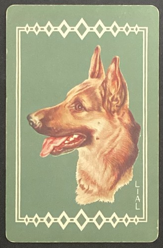 Dog german shepherd - dog,