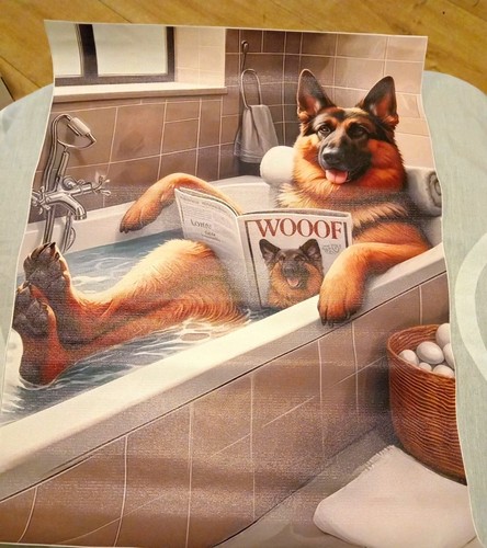 Humorous german shepherd - humorous,