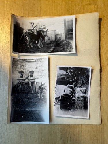 Photo photographs sidmouth - -, 5