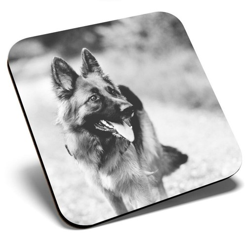Square single coaster - single,