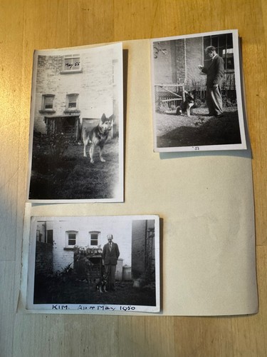 Photo photographs - -,