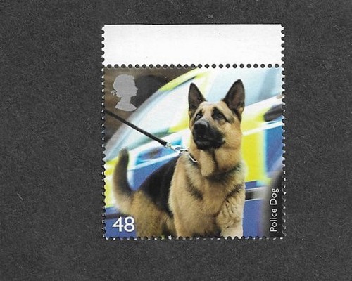 Dogs police dog - dogs,