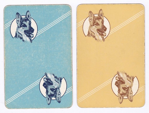 German shepherd dogs - 2,
