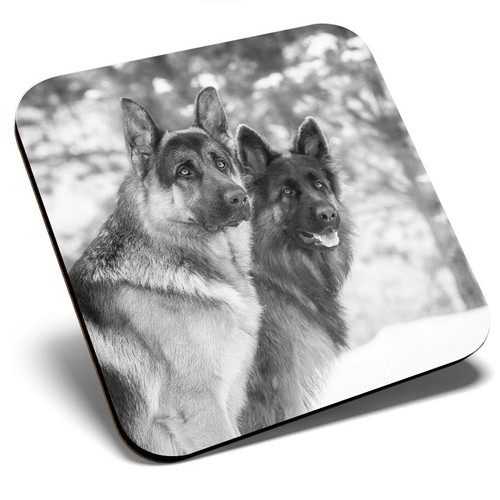 Square single coaster - coaster,