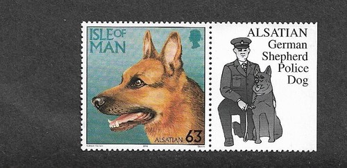 Dogs german shepherd - dogs,