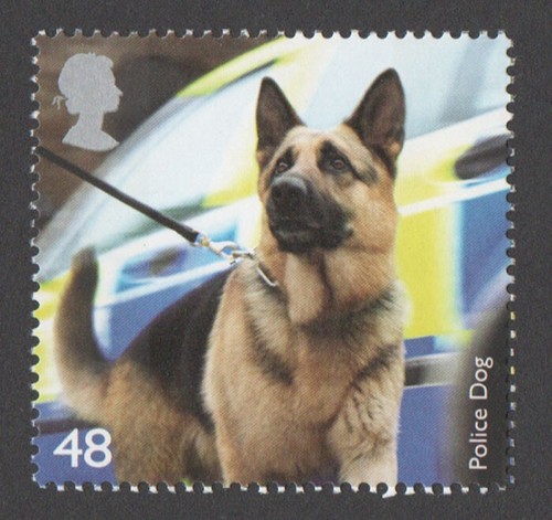 2008 2808 48p police dog - 48p,