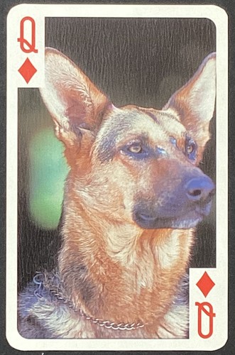 German shepherd dog vintage - german,