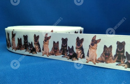German shepherd breed pet - german,