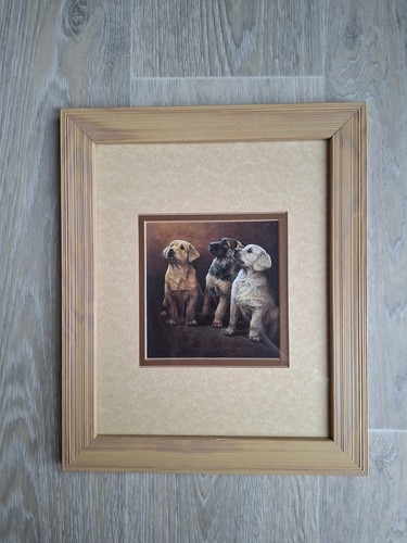 Nigel hemming framed dog - hemming,