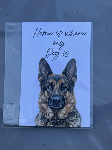 German shepherd dog breed - shepherd,