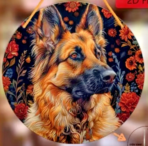 Alsatian large german shepherd - alsatian,