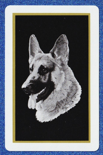 Vintage swap playing card - swap, ~