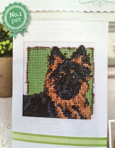 German shepherd dog cross - shepherd,