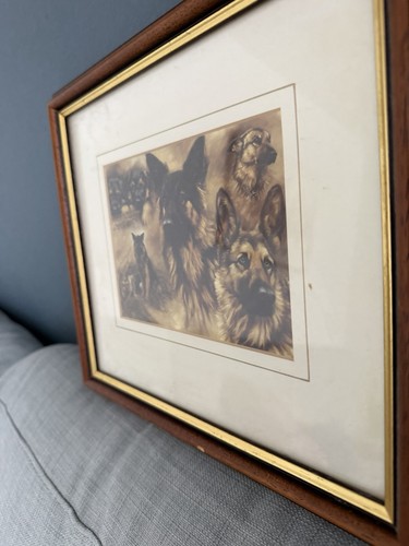 Framed german shepherd gsd - german,