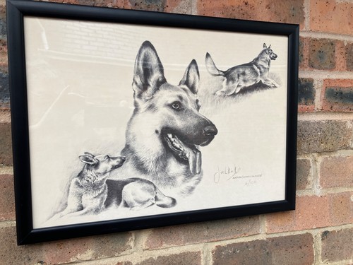 Lovely ltd signed - ltd, &
