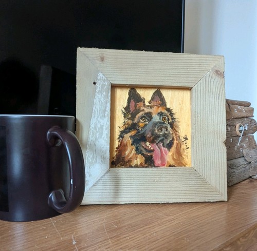German shepherd dog portrait2 - german,
