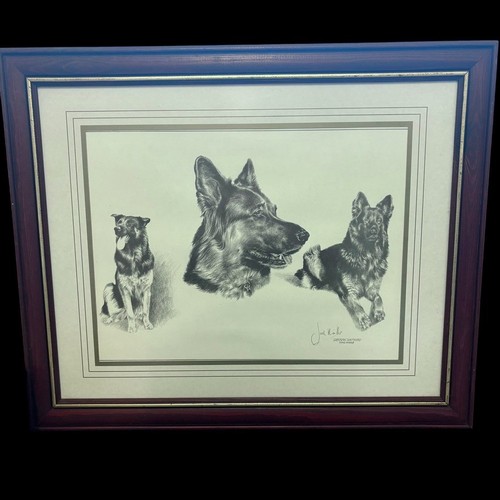 Joel kirk german shepherd - kirk,
