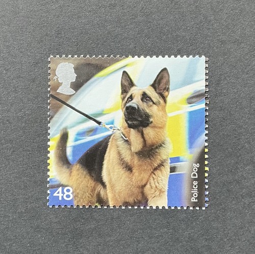 Dogs alsatian german shepherd - dogs,
