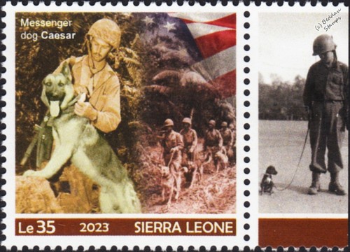 Wwii messenger war dog - messenger,