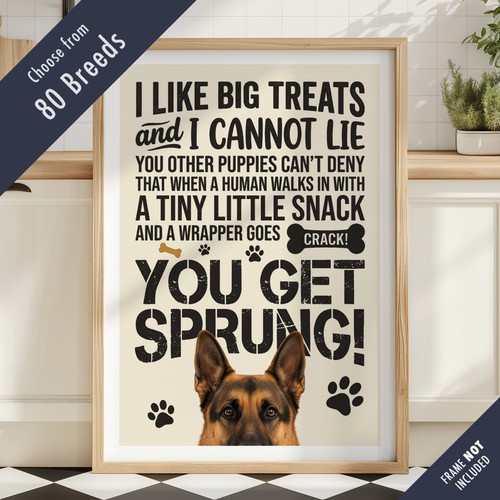 Funny dog treats - lyric, quote