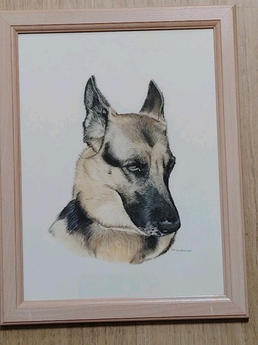 Pencil and watercolour - pencil,