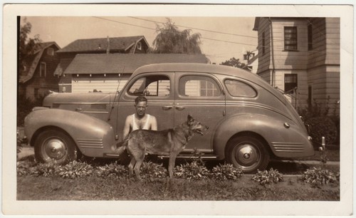 1940 german shepherd - 1940,