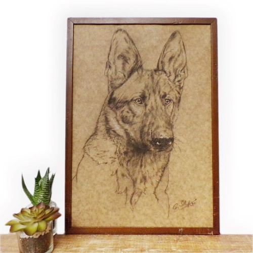 Framed dog art drawing vintage - drawing,