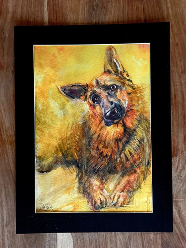 German shepherd dog - german,