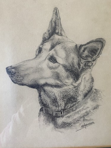 Vintage pencil drawing an - pencil,